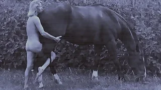 Next Sex Videos 28